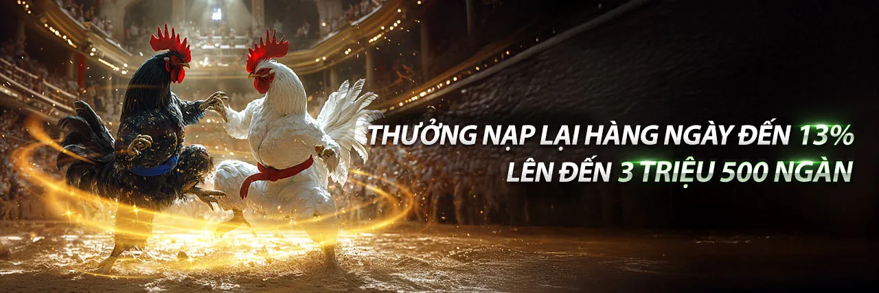 Đá gà trực tuyến fly88p