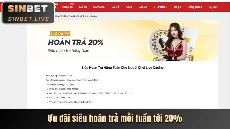 Các chương trình khuyến mãi và ưu đãi độc quyền dành cho thành viên mới Fly88p